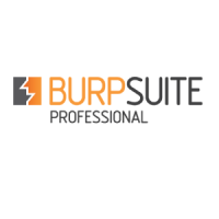Burp Suite Professional v2020.9 Build 3968 + Loader - [haxNode]