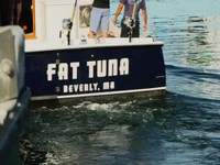 Wicked Tuna S12E18 480p x264-mSD EZTV
