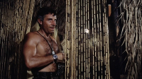 Go Tell the Spartans 1978 1080p BluRay H264 AAC Go Tell the Spartans 1978 1080p BluRay H264 AAC