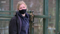 Inside the Zoo S02E05 XviD-AFG EZTV
