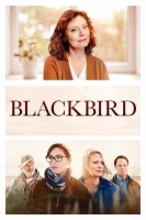 Blackbird 2019 BDRip x264-PiGNUS[TGx]