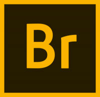 Adobe Bridge 2020 v10.0.4.157 (x64) Patched - [haxNode]