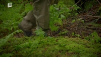 The Alaska Triangle S01E04 XviD-AFG EZTV The Alaska Triangle S01E04 XviD-AFG EZTV