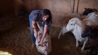 Farming For Love S01E04 XviD-AFG EZTV