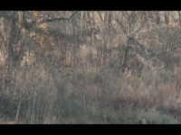 HuntCo S02E08 INTERNAL 480p x264-mSD [eztv]