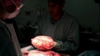 Embarrassing Bodies S07E06 WEB H264-EQUATION [eztv]