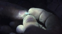 Outback Opal Hunters S03E09 720p WEB x264-APRiCiTY [eztv]