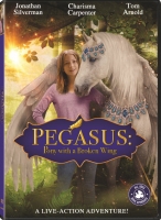 Pony With A Broken Wing 2019 DVDRip x264 AC3-[MOVCR]