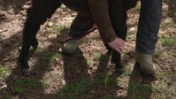 Springtime on the Farm S06E02 XviD-AFG EZTV