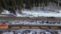 Highway Thru Hell S12E15 XviD-AFG EZTV