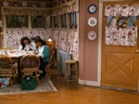 Family Matters S04E11 480p x264-mSD [eztv]