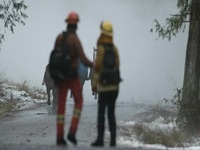 Fire Country S01E12 480p x264-mSD EZTV Fire Country S01E12 480p x264-mSD EZTV