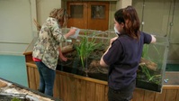 Animal Park S18E06 XviD-AFG EZTV