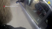 Body Cam S08E03 XviD-AFG EZTV