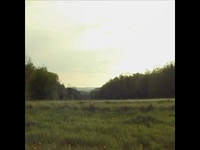 Documentary Now S04E06 480p x264-mSD EZTV Documentary Now S04E06 480p x264-mSD EZTV