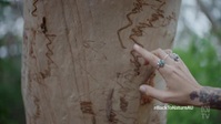 Back To Nature S01E07 XviD-AFG EZTV Back To Nature S01E07 XviD-AFG EZTV