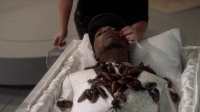 White Famous S01E08 HDTV x264-W4F[eztv]