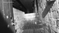 Paranormal Lockdown S02E02 720p HDTV x264-W4F[eztv]