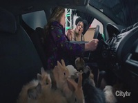 American Auto S02E12 480p x264-mSD EZTV
