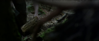 Backcountry 2014 BRRip XviD MP3-XVID