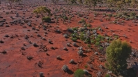 Aussie Gold Hunters S06E09 720p WEB h264-B2B EZTV