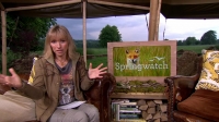 Springwatch S13E01 720p HDTV x264-QPEL[eztv]