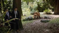 DCs Legends of Tomorrow S04E03 XviD-AFG EZTV
