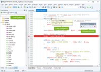 Blumentals Rapid PHP 2020 v16.0.0.220 Multilingual + Crack [FTUApps]