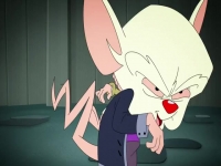 Animaniacs 2020 S01E11 480p x264-mSD EZTV Animaniacs 2020 S01E11 480p x264-mSD EZTV