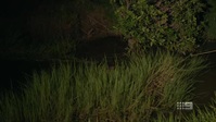 Matt Wrights Wild Territory S01E04 XviD-AFG EZTV