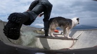 Life Below Zero First Alaskans S02E09 720p WEB h264-EDITH EZTV