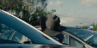 Tulsa King S02E02 720p HEVC x265-MeGusta EZTV Tulsa King S02E02 720p HEVC x265-MeGusta EZTV