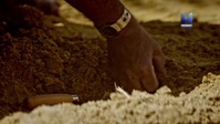 Ancient Apocalypse S01E02 720p HEVC x265-MeGusta EZTV Ancient Apocalypse S01E02 720p HEVC x265-MeGusta EZTV