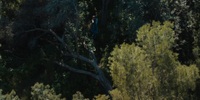 Foundation S01E06 REPACK 1080p HEVC x265-MeGusta EZTV Foundation S01E06 REPACK 1080p HEVC x265-MeGusta EZTV