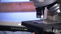 F2 Forensic Factor S01E13 Beauty Queen XviD-AFG EZTV F2 Forensic Factor S01E13 Beauty Queen XviD-AFG EZTV