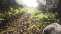 Top Jobs For Dogs S01E02 HDTV x264-LiNKLE [eztv]
