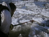 Life Below Zero S12E02 480p x264-mSD [eztv]