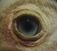 The Searching Eye (1964) [1080p] [BluRay] [2 0] [YTS] [YIFY]