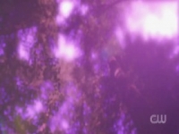 Arrow S08E08 iNTERNAL 480p x264-mSD [eztv]