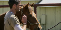 Walker S01E10 Encore 720p HEVC x265-MeGusta EZTV Walker S01E10 Encore 720p HEVC x265-MeGusta EZTV