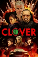 Clover 2020 720p WEBRip 800MB x264-GalaxyRG