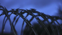 48 Hours S36E23 XviD-AFG EZTV 48 Hours S36E23 XviD-AFG EZTV