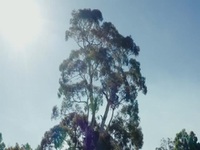 Back To Nature S01E03 480p x264-mSD EZTV