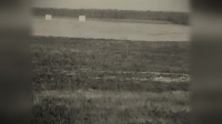 American Pickers S22E06 WEB h264-BAE EZTV