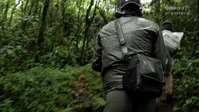 Exploration Volcano S01E02 720p HDTV x264-CBFM EZTV