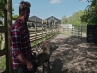 Spring At Jimmys Farm S01E02 480p x264-mSD [eztv]