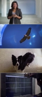 NOVA Wonders S01 480p x264-mSD