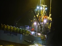 Deadliest Catch S19E21 480p x264-mSD EZTV