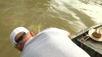Swamp People S12E16 WEB h264-BAE EZTV