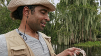Swamp People S16E02 1080p WEB h264-EDITH EZTV Swamp People S16E02 1080p WEB h264-EDITH EZTV